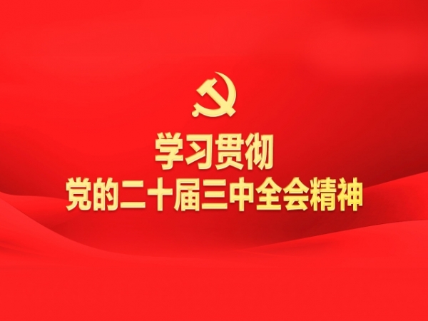 专题丨学习贯彻党的二十届三中全会精神