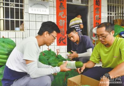 把背影留给家人 将希望带给山村