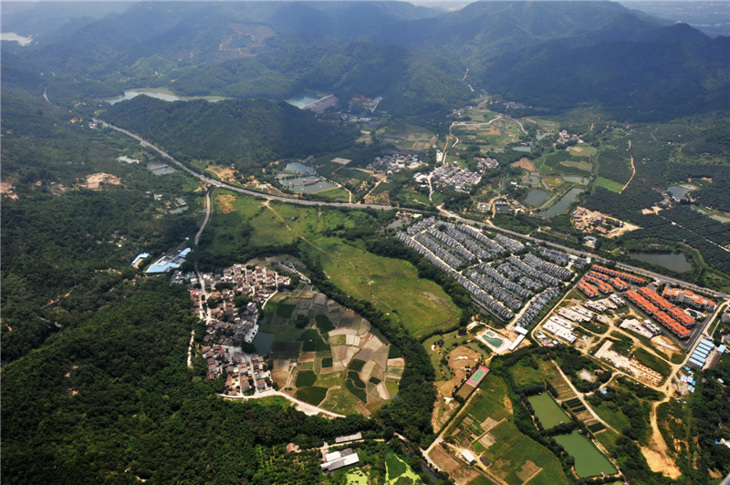 夏季的广东中山五桂山生态保护区生机盎然,林地郁郁葱葱,这里是中山市